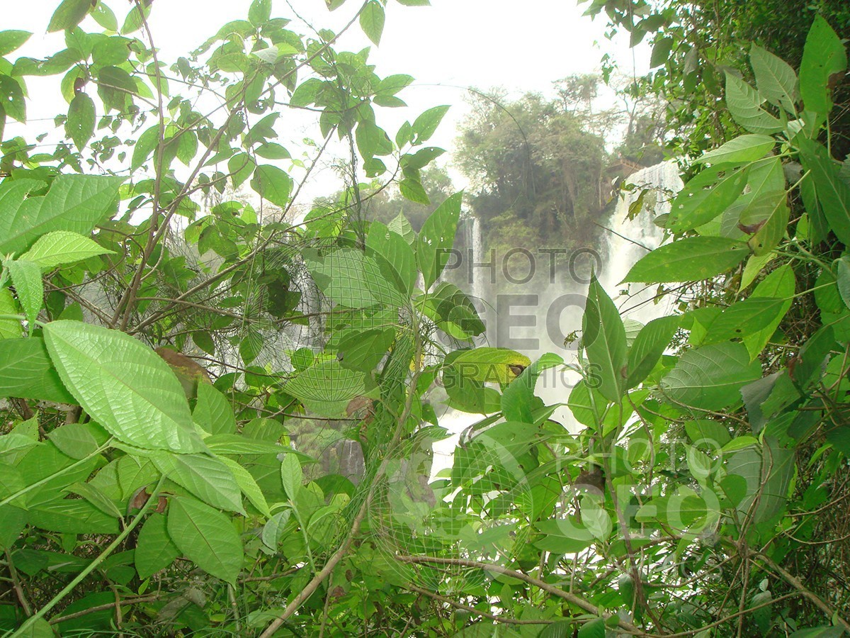 6008 Iguazu Falls, Argentina