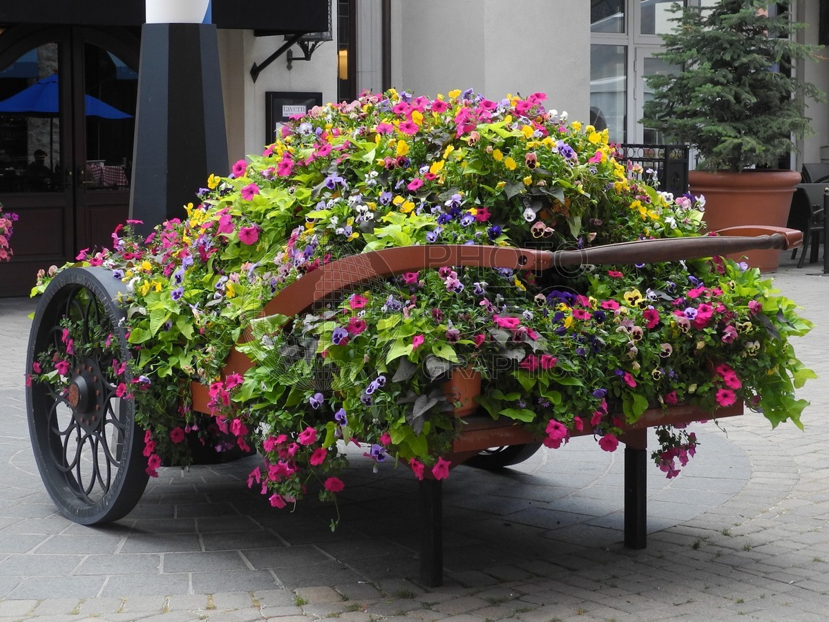 6012 Flower Wagon, Beaver Creek, CO