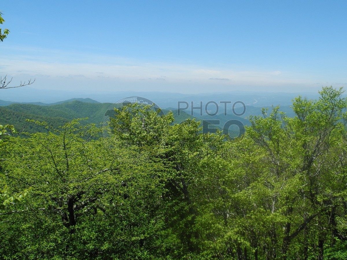 6025 Blue Ridge Mountains, NC