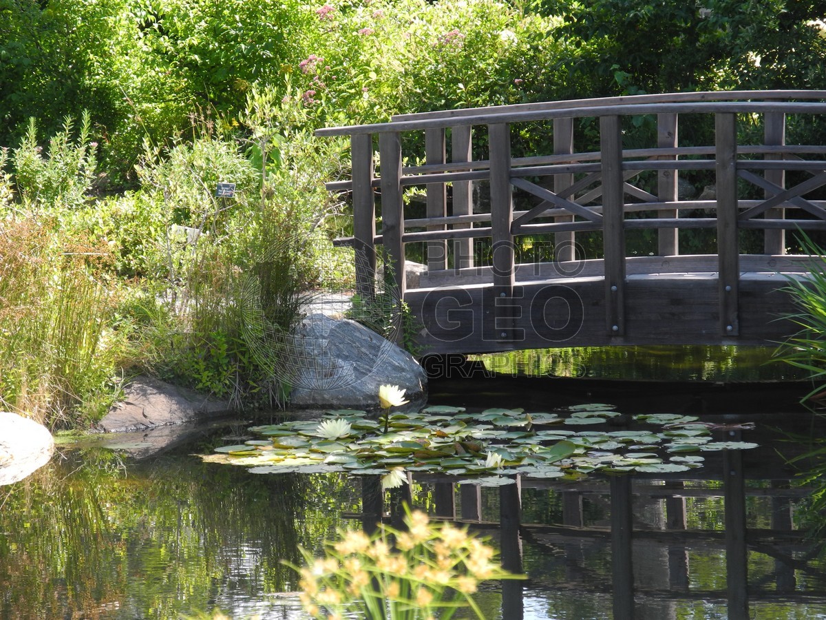 6038 Bridge over Pond, Boothbay, ME