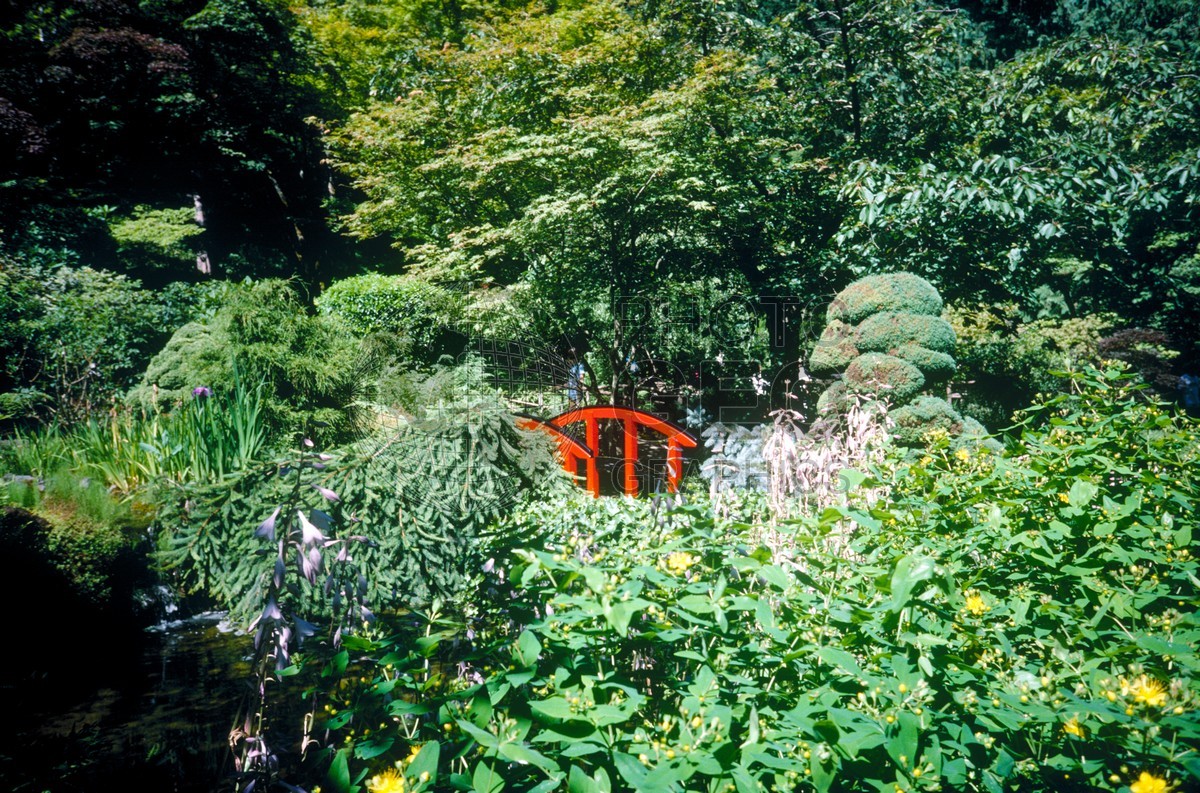 6113 Red Bridge in Garden, Maui, HI