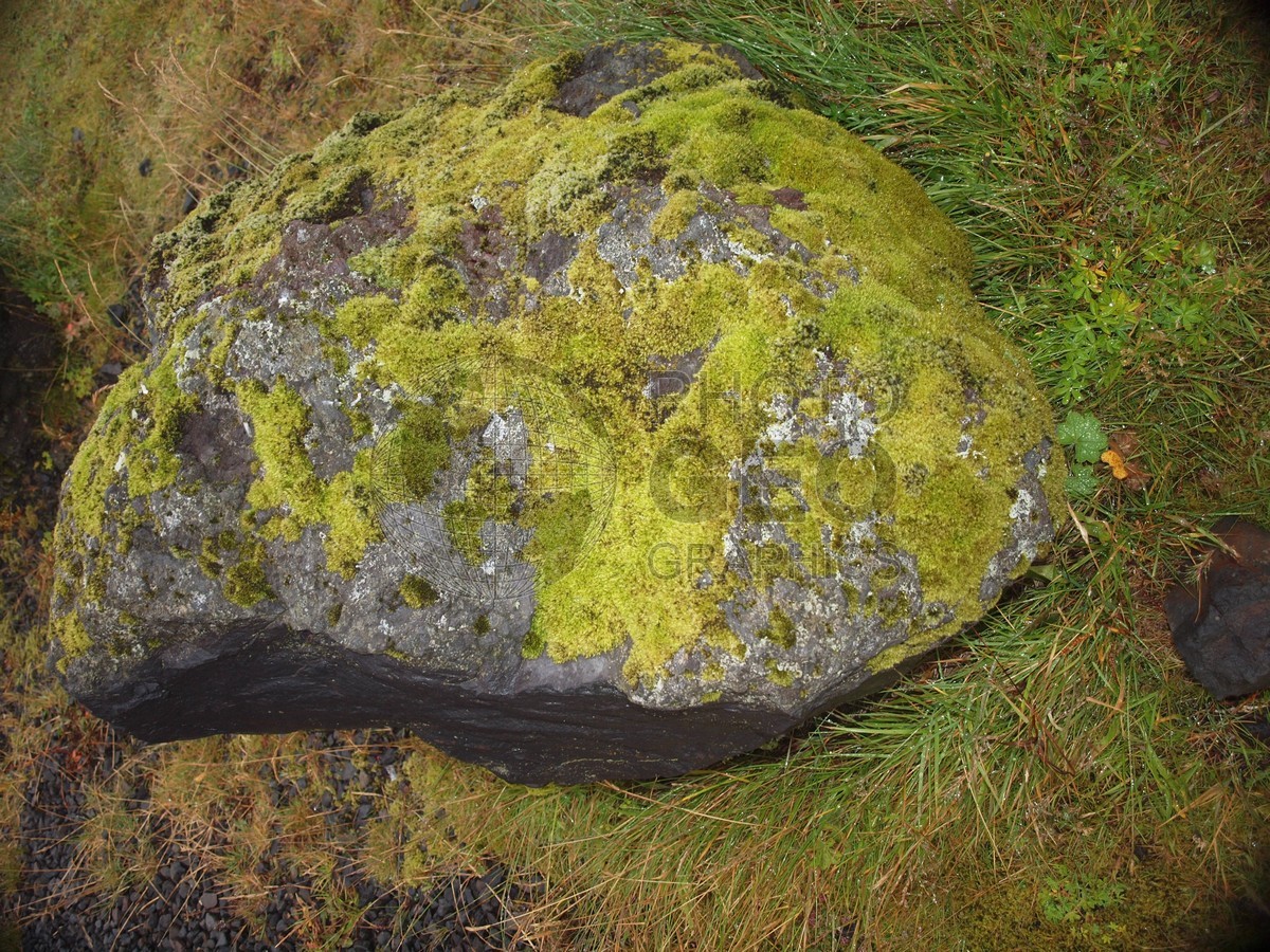 6152 Non-rolling Stone Gathers Moss, Iceland