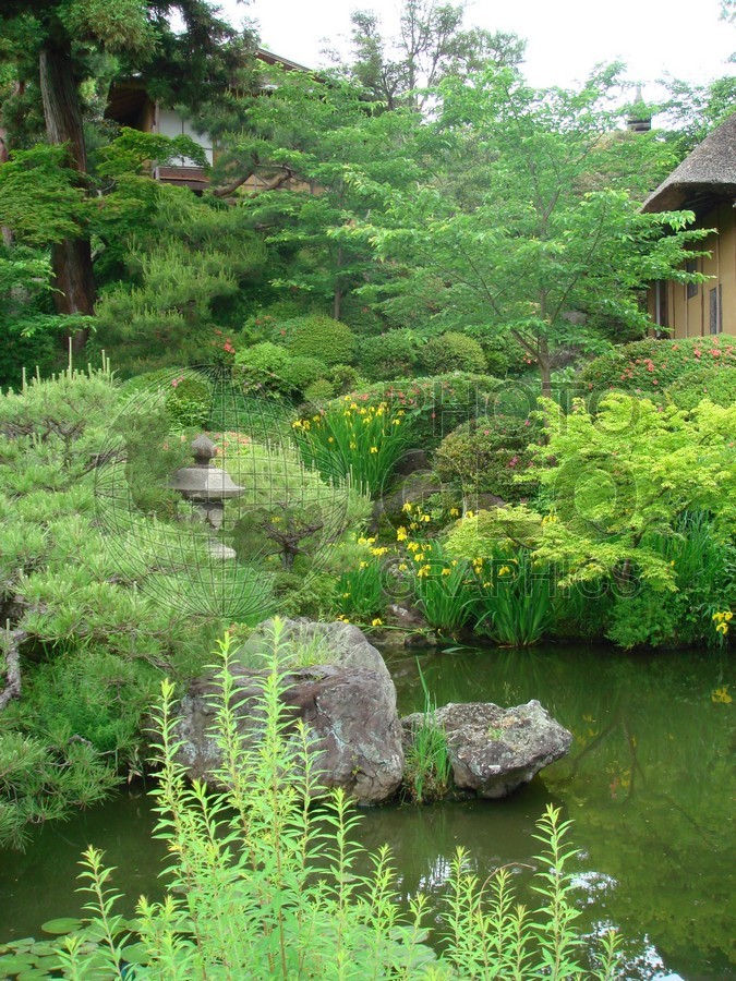 6159 Garden, Kyoto, Japan