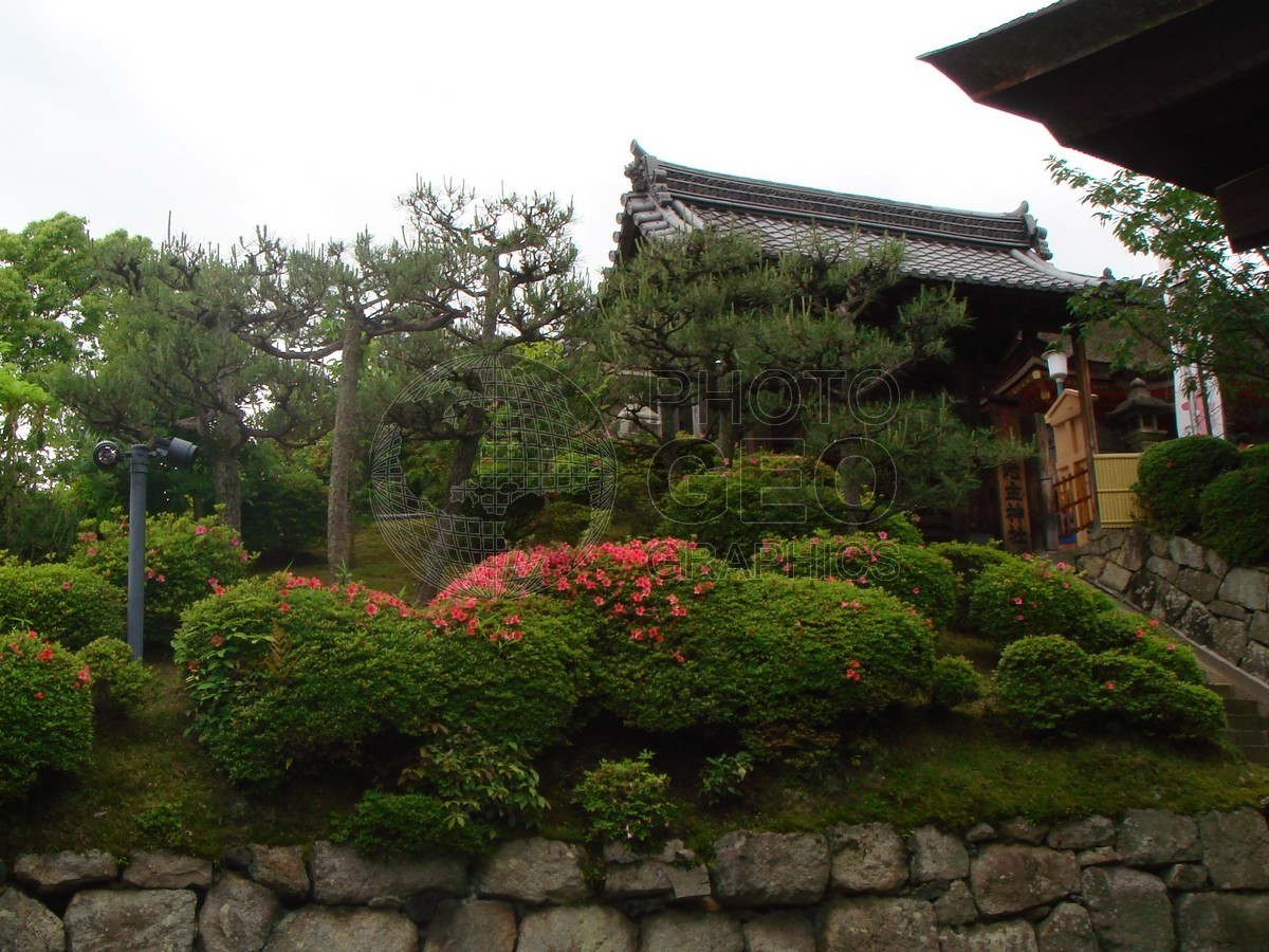6164 Garden, Kyoto, Japan