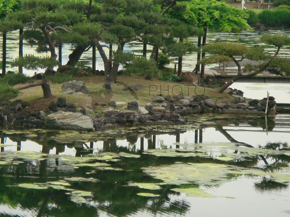 6165 Pond, Kyoto, Japan