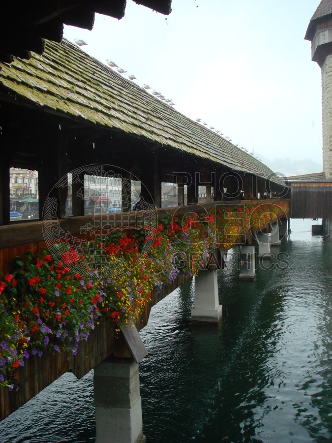 6218 Flower Bridge, Luzern, Switzerland