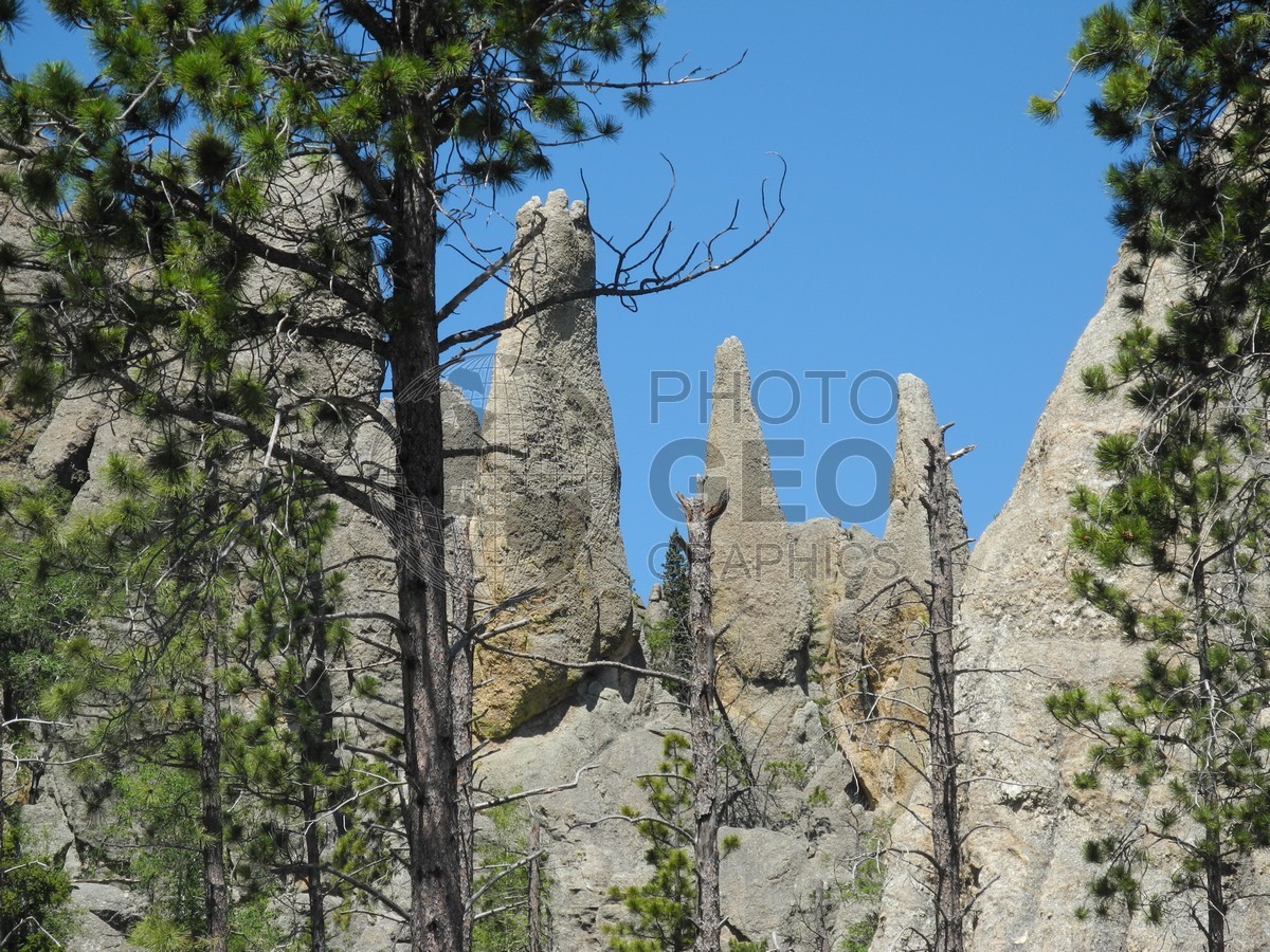 6269 Black Hills, SD