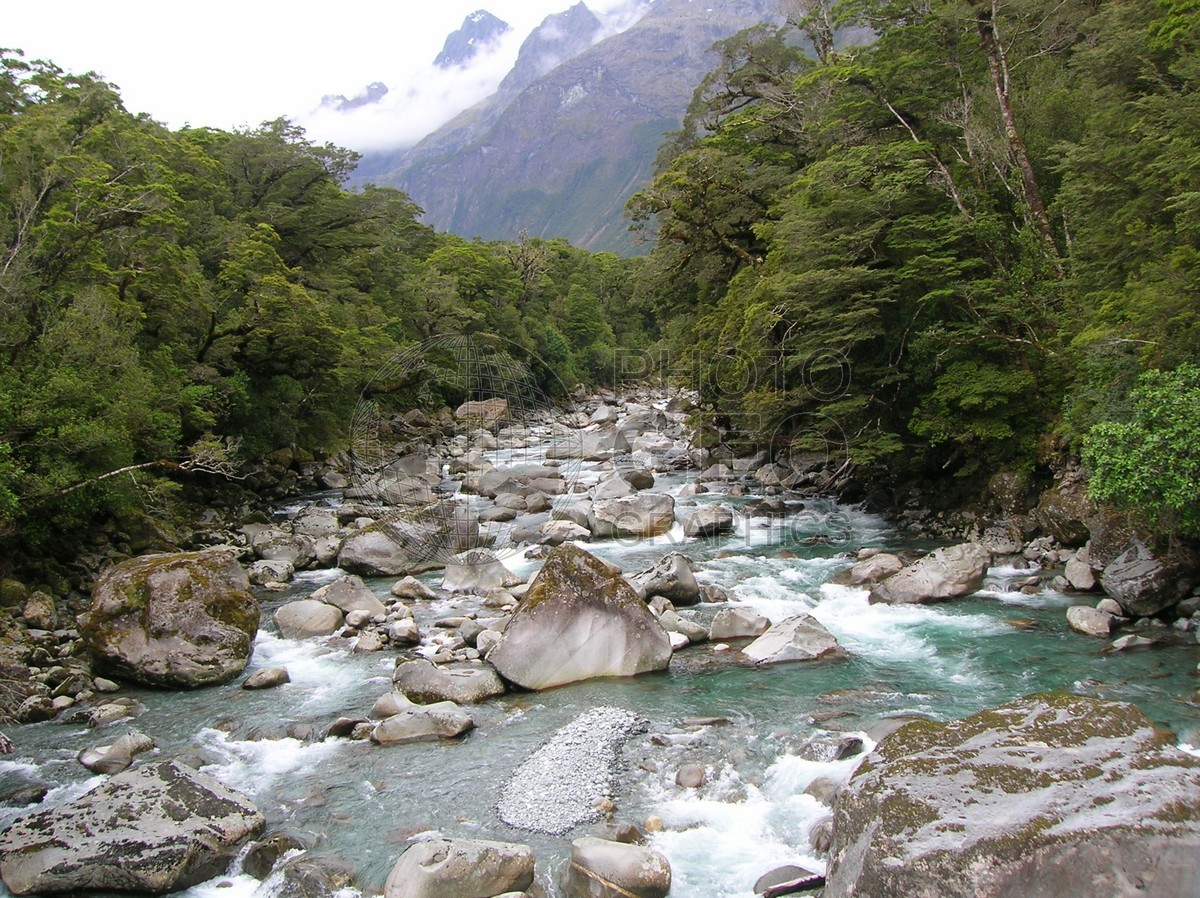 6286 Rocky Stream, New Zealand