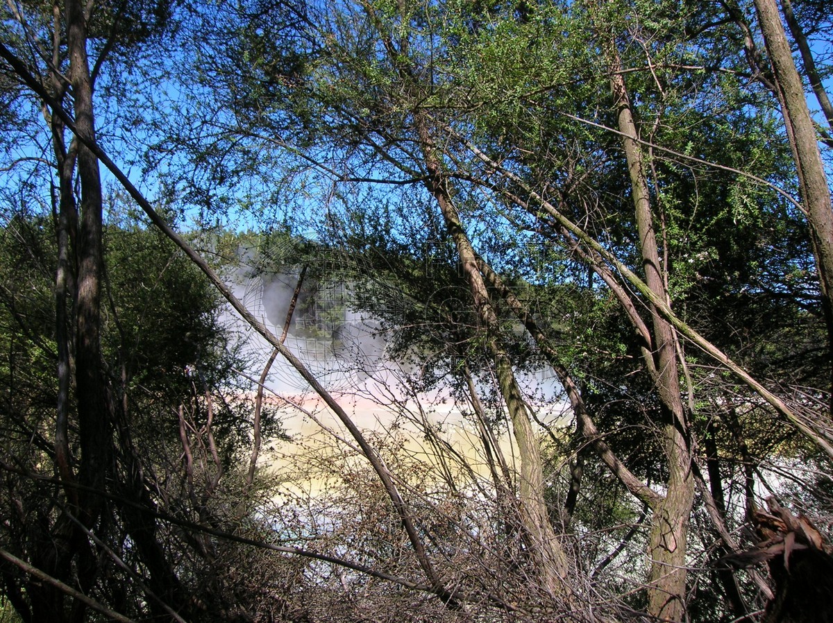 6291 Hot Springs, New Zealand