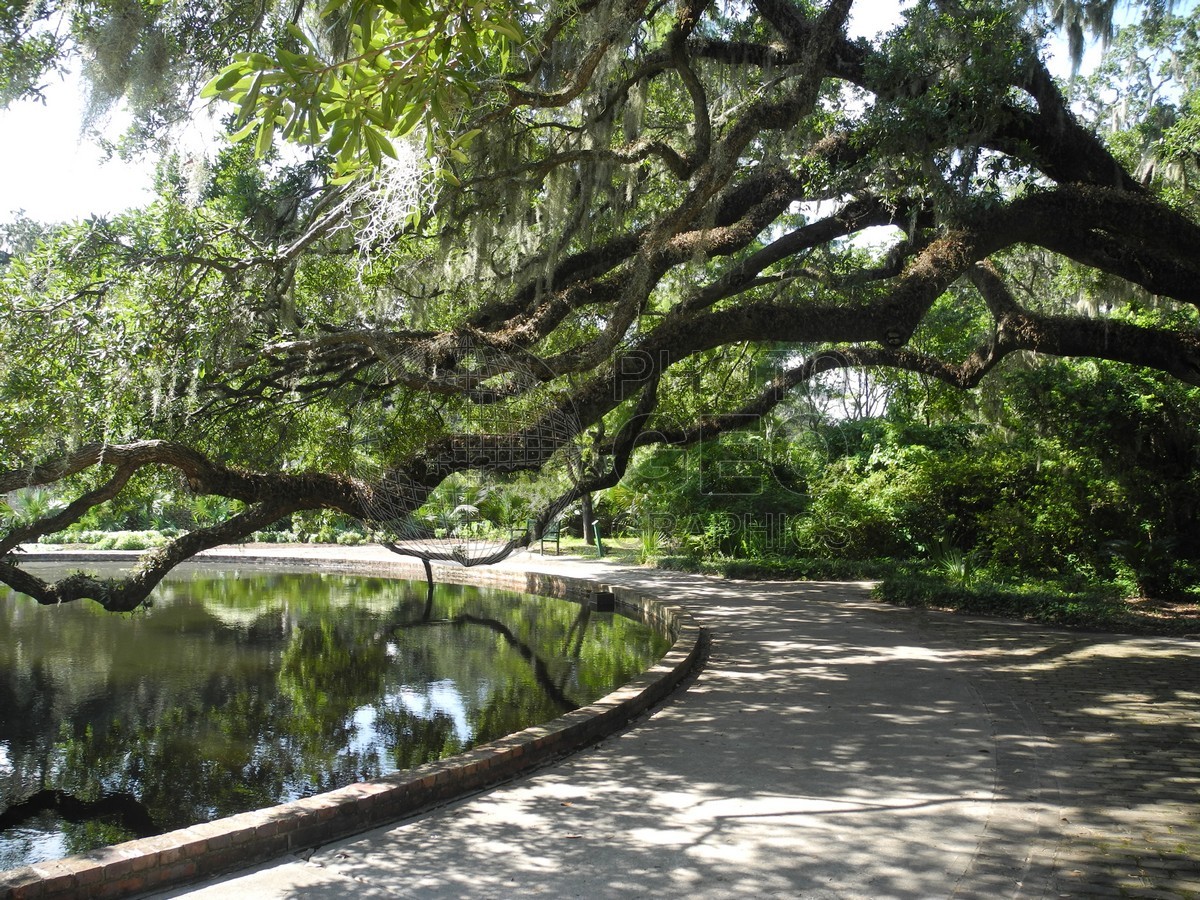 6313 Crooked Tree, Charleston, SC