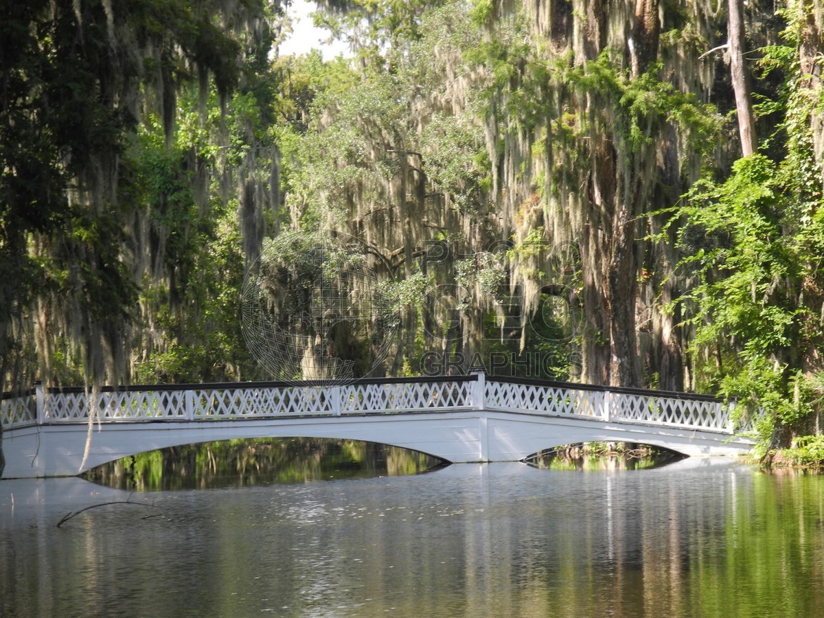 6332 White Bridge, Charleston, SC