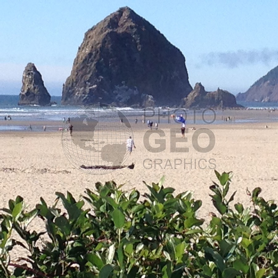 6337 Haystack Rock, Cannon Beach, OR
