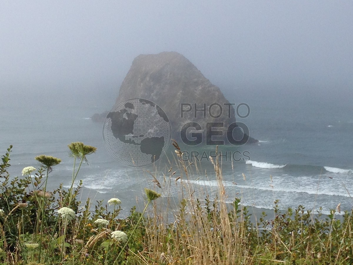 6339 Foggy Coast, OR