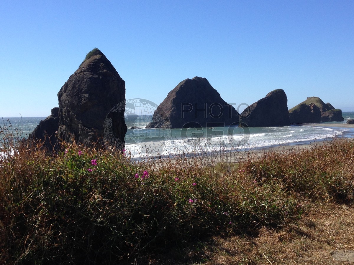 6346 Coastal Oregon