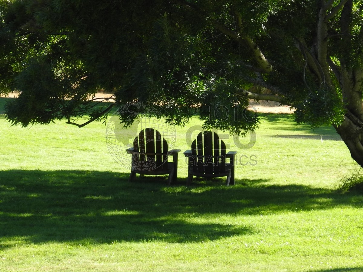 6356 Seat in the Shade, OR