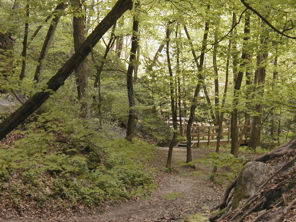 6371 Springtime at Starved Rock, Oglesby, IL