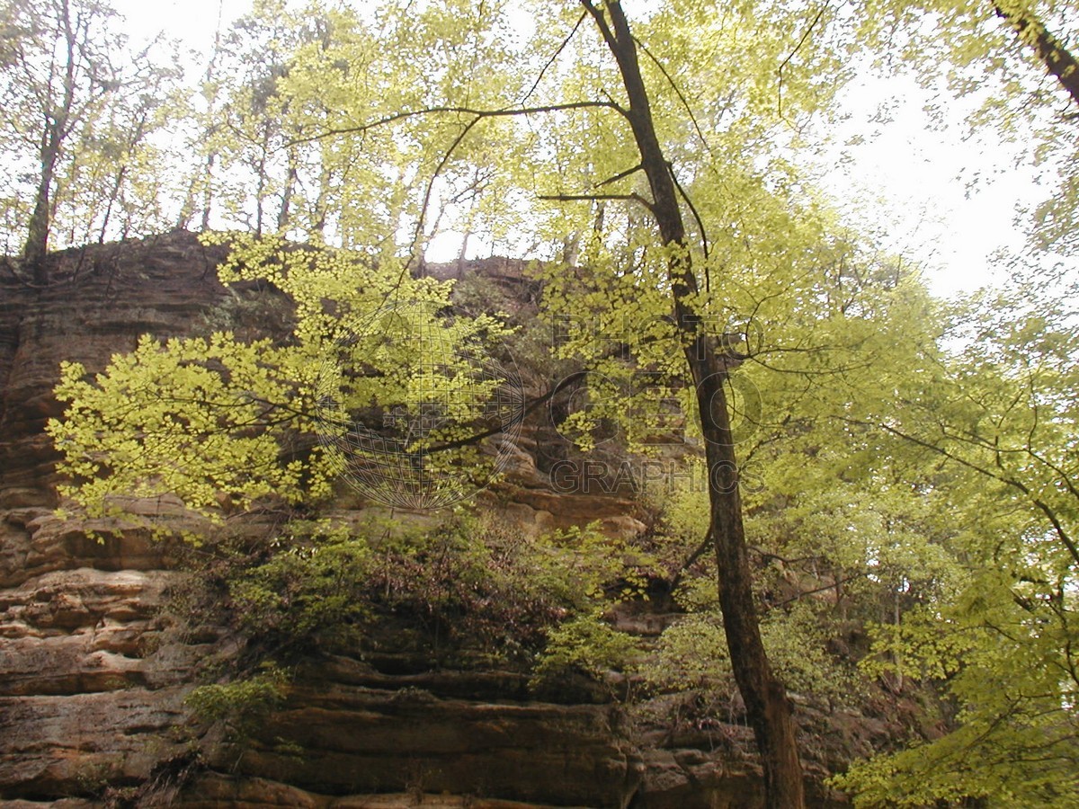 6372 Springtime at Starved Rock, Oglesby, IL