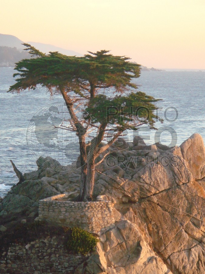 6379 Lone Tree, Pebble Beach, CA