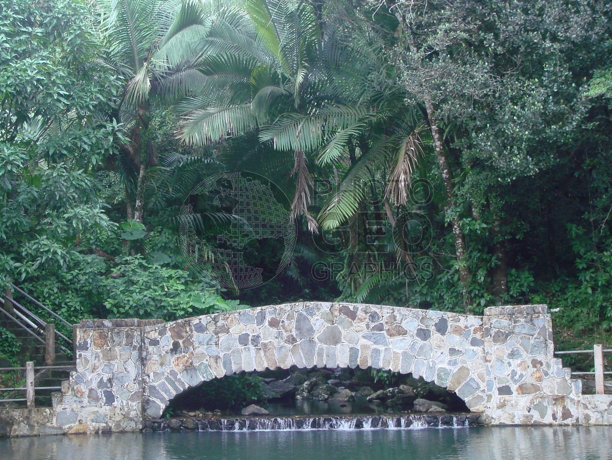 6385 Stone Bridge, Puerto Rico
