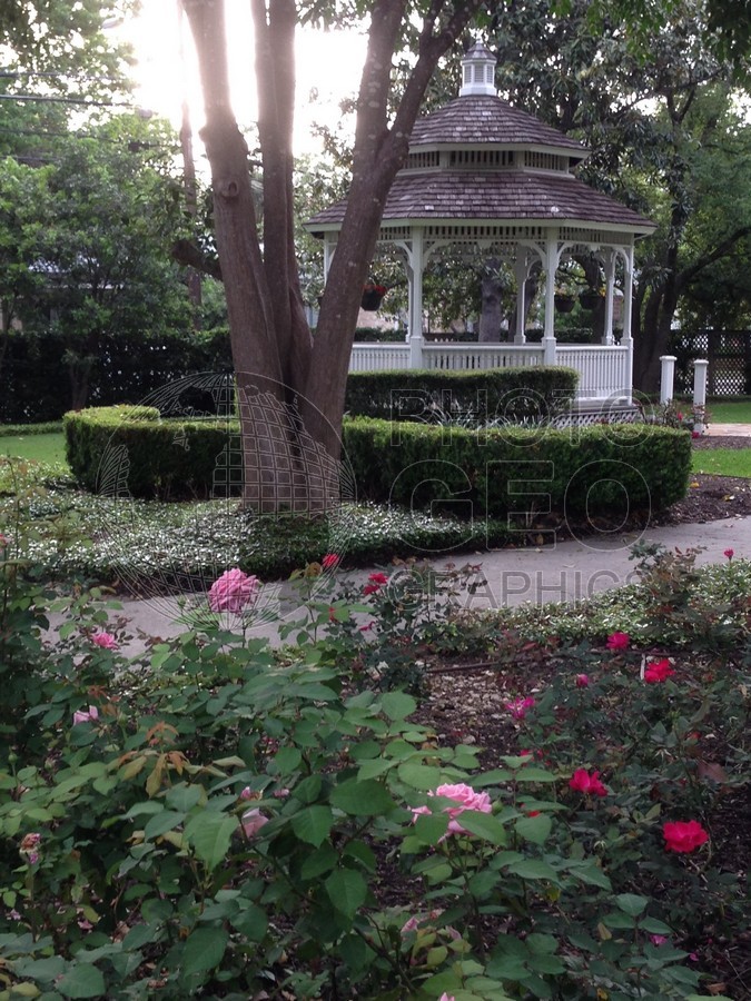 6402 Gazebo, San Antonio, TX