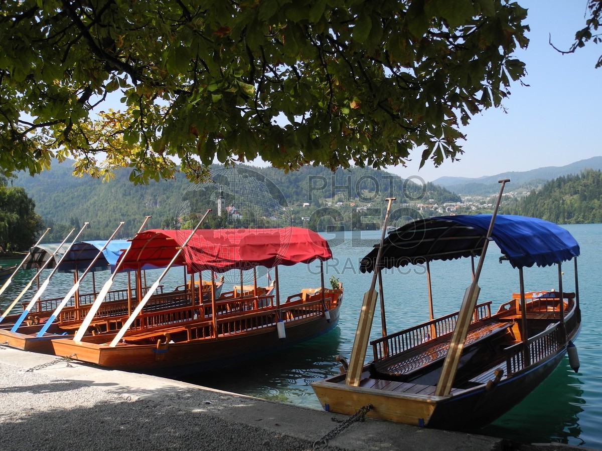 6443 Floating Taxis, Bled, Slovenia
