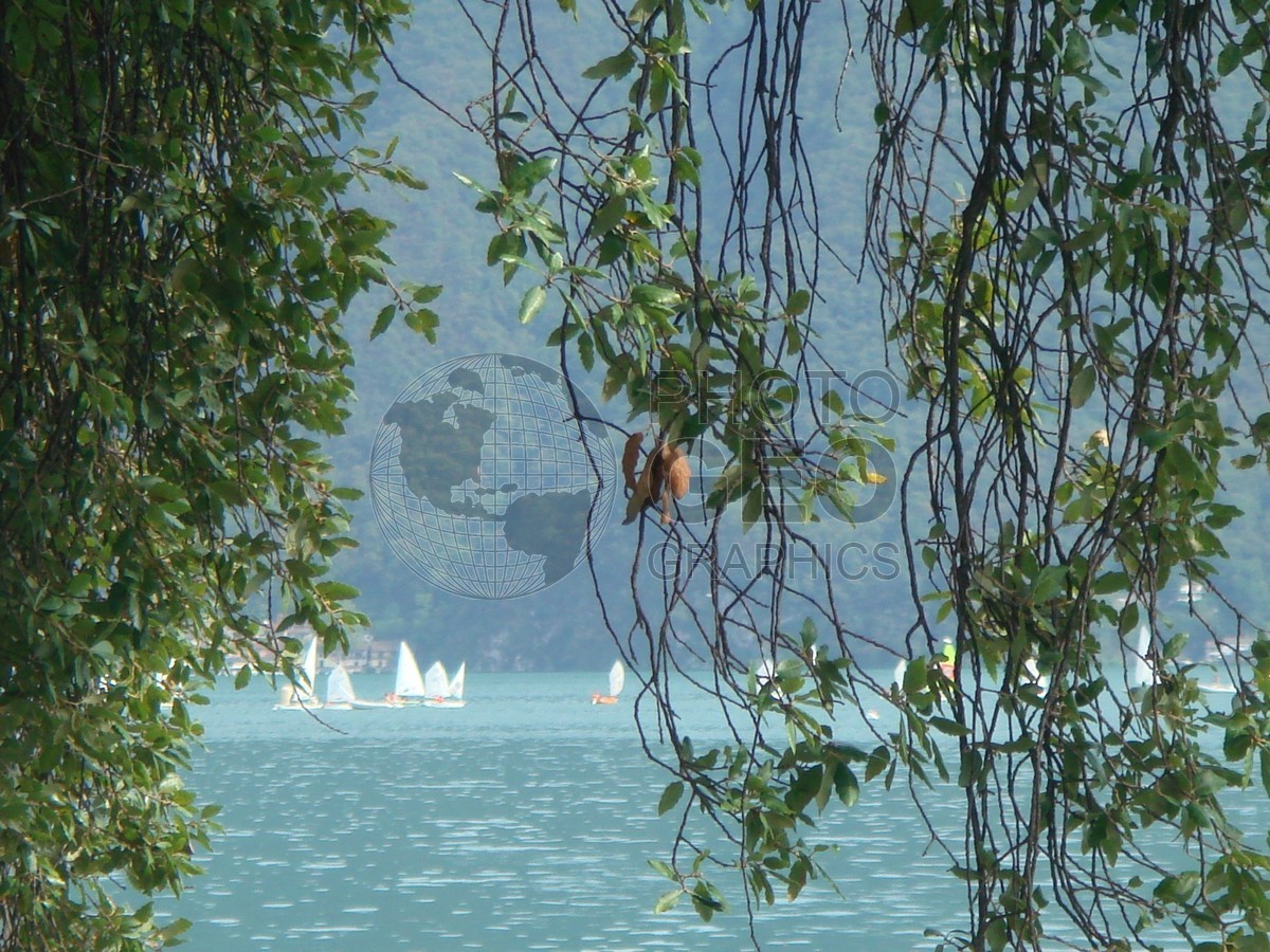6454 Sailboats Lake Como, Italy
