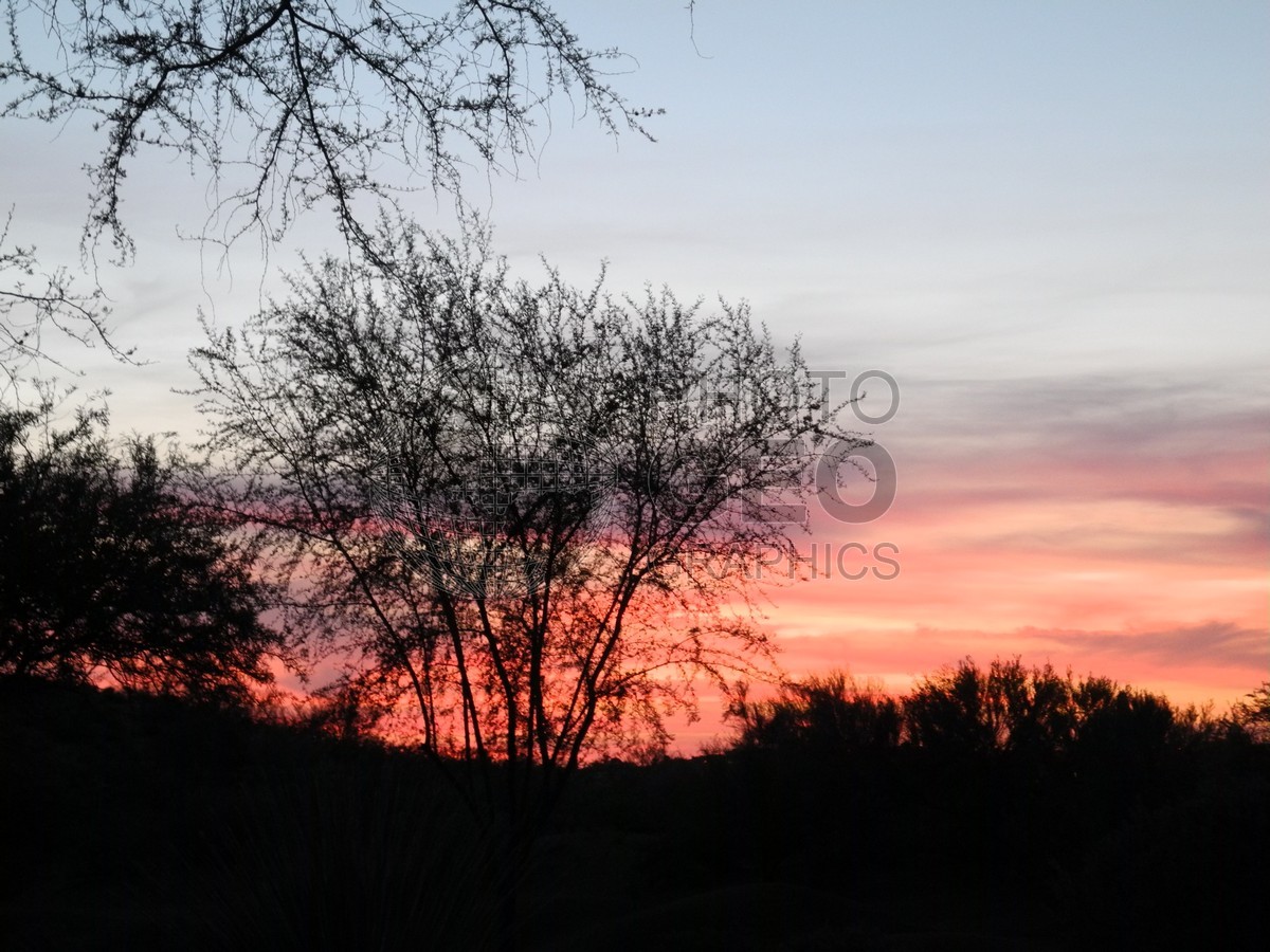 6457 Tucson Sunset, AZ