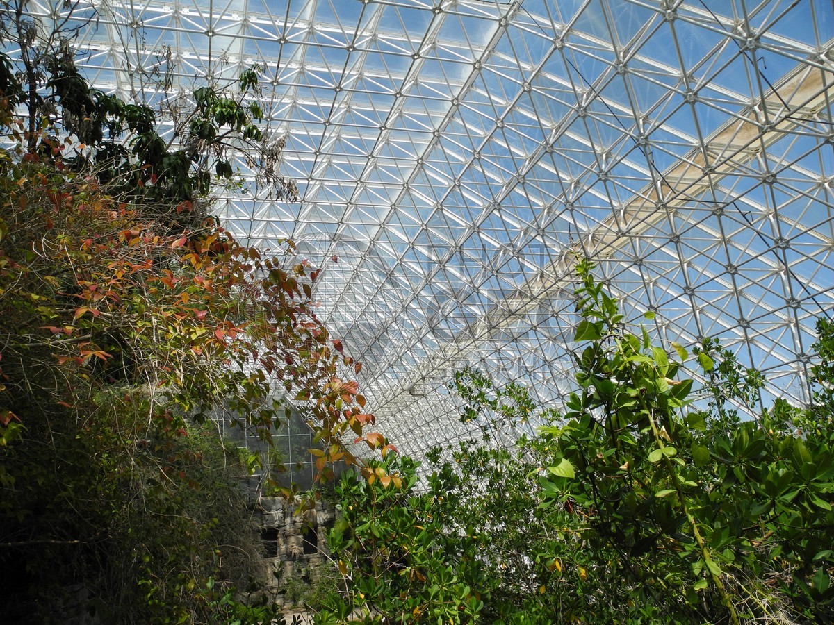 6460 Inside Biosphere, Oracle, AZ