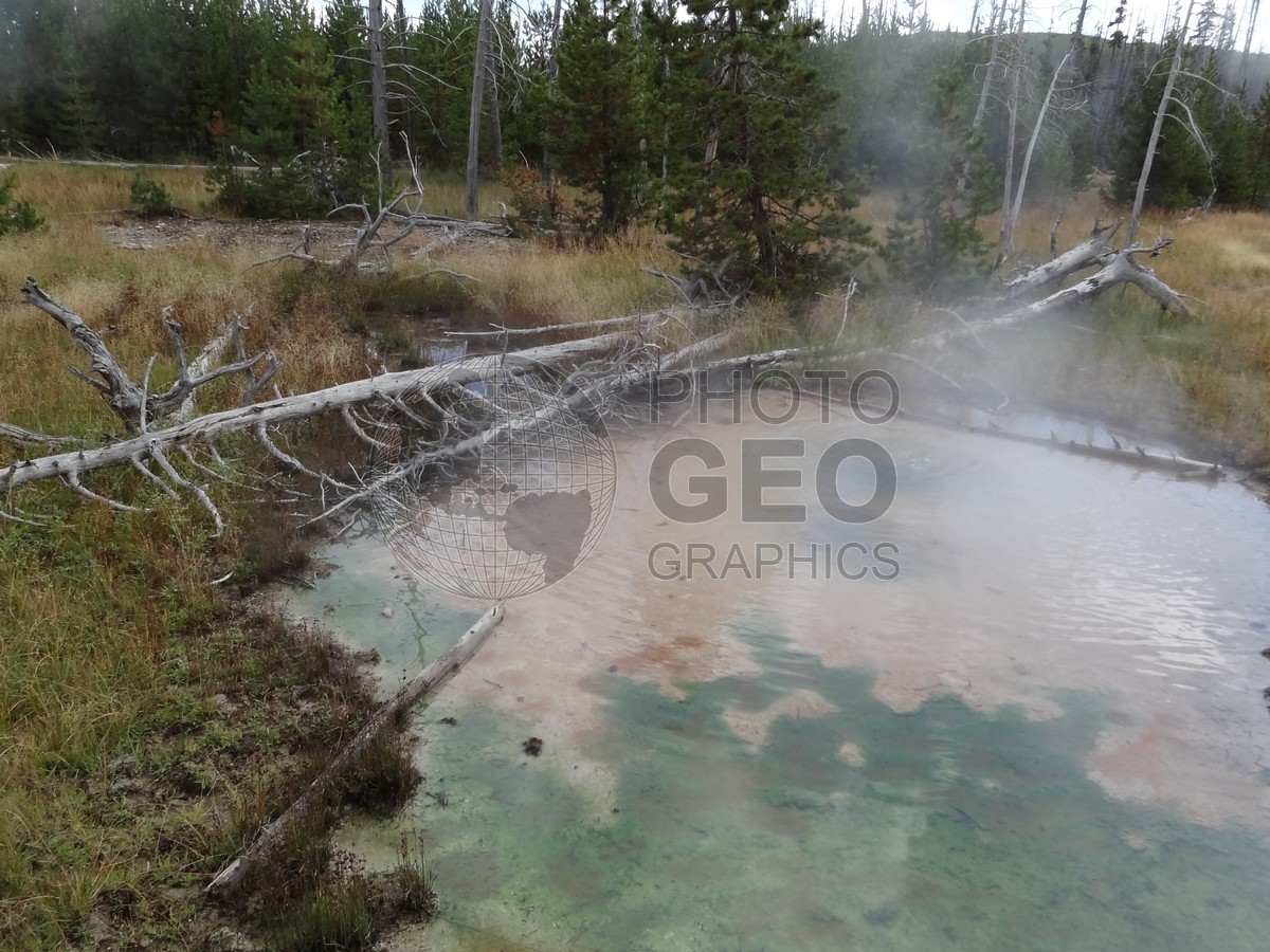 6498 Steaming Pool at Yellowstone National Park, WY