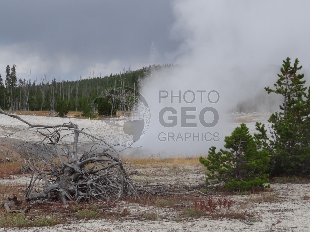 6502 Steaming Pool at Yellowstone National Park, WY