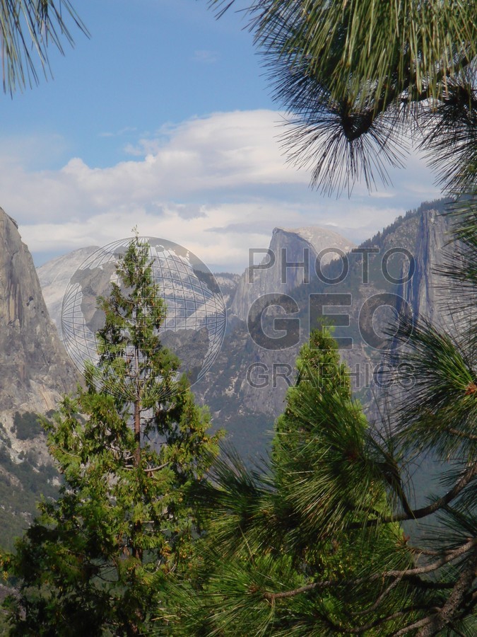 6509 Mountain and Pines, Yosemite National Park, CA