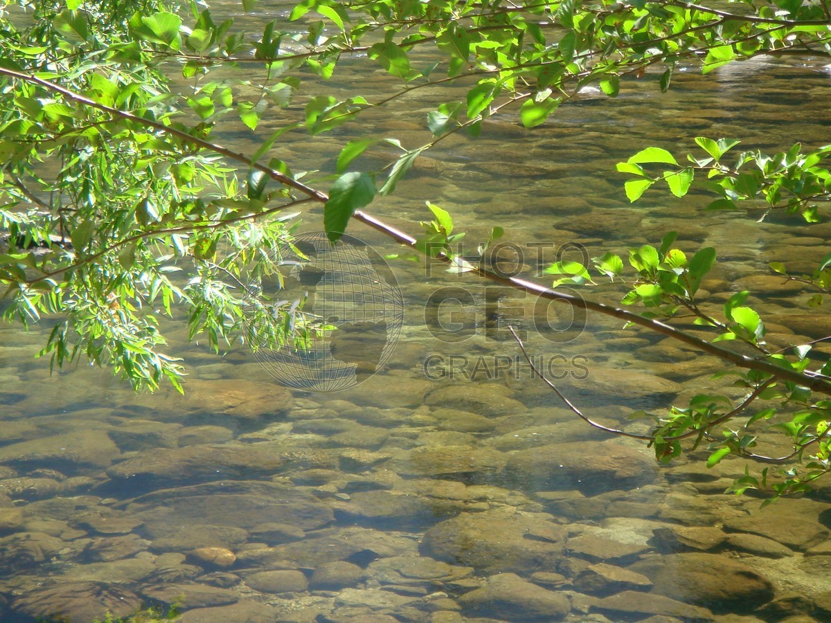 6511 Mountain Stream, Yosemite National Park, CA