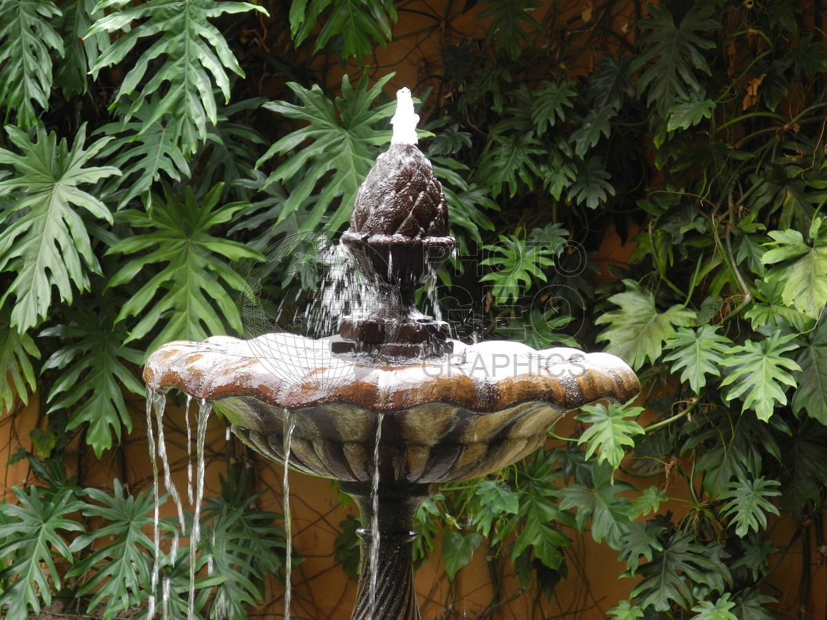 6563 Bubbling Fountain, Antigua, Guatemala