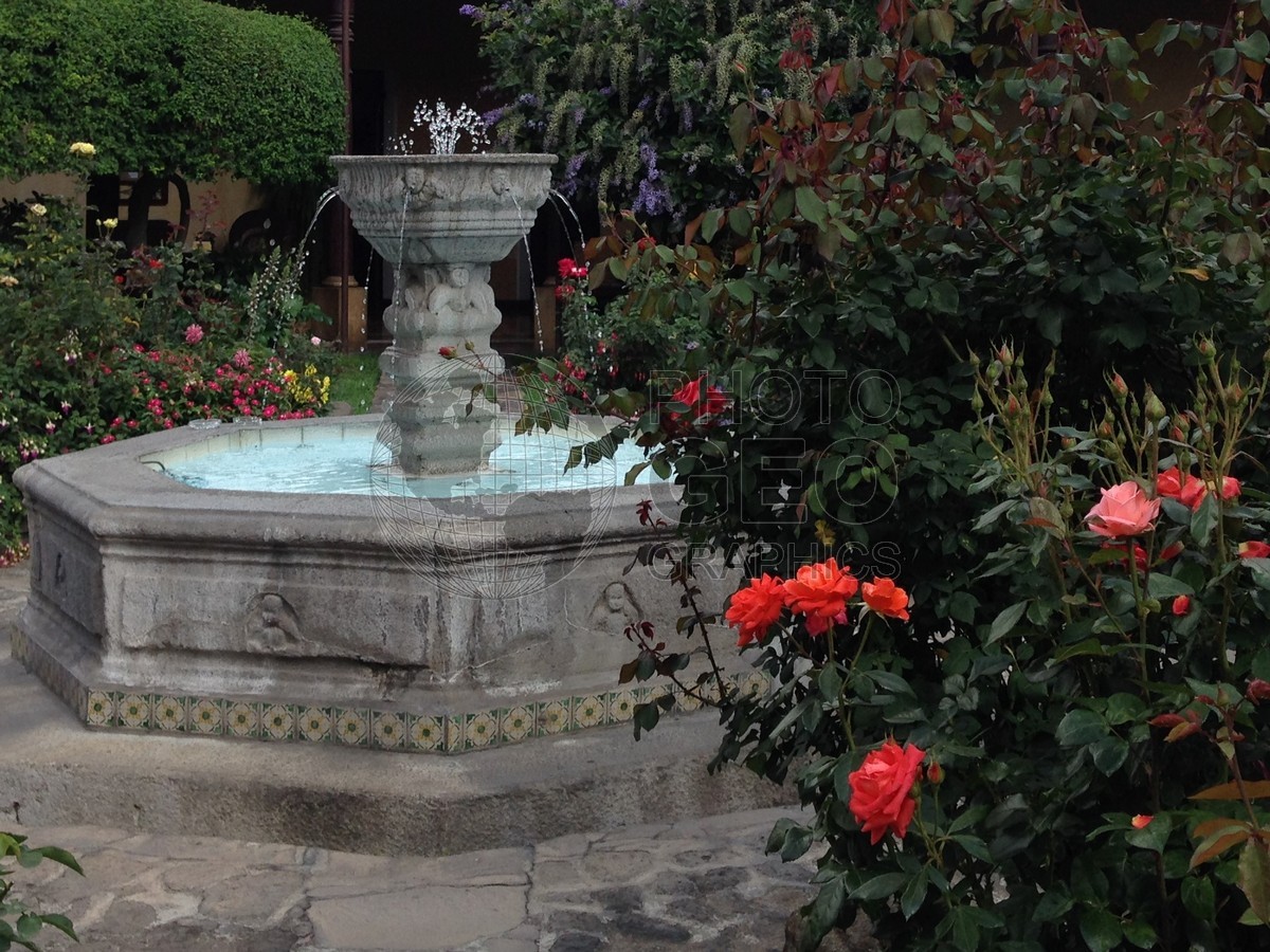 6570 Roses and Fountain, Antigua, Guatemala