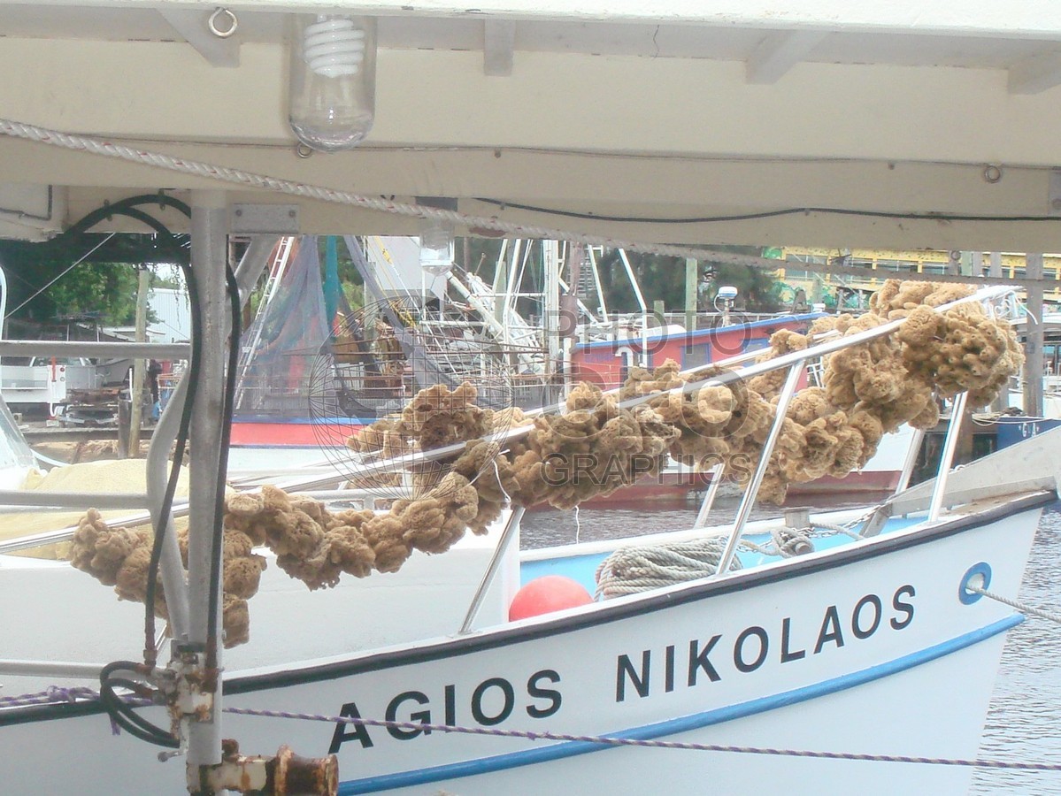 6577 Spongeboat, Tarpon Springs, FL