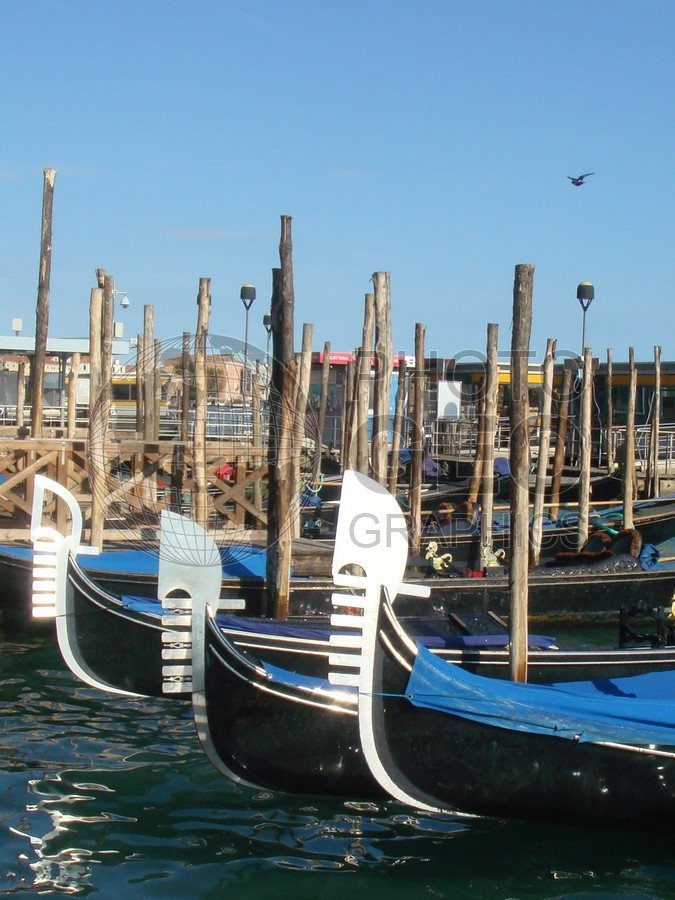 6583 Uber Gondolas, Venice, Italy