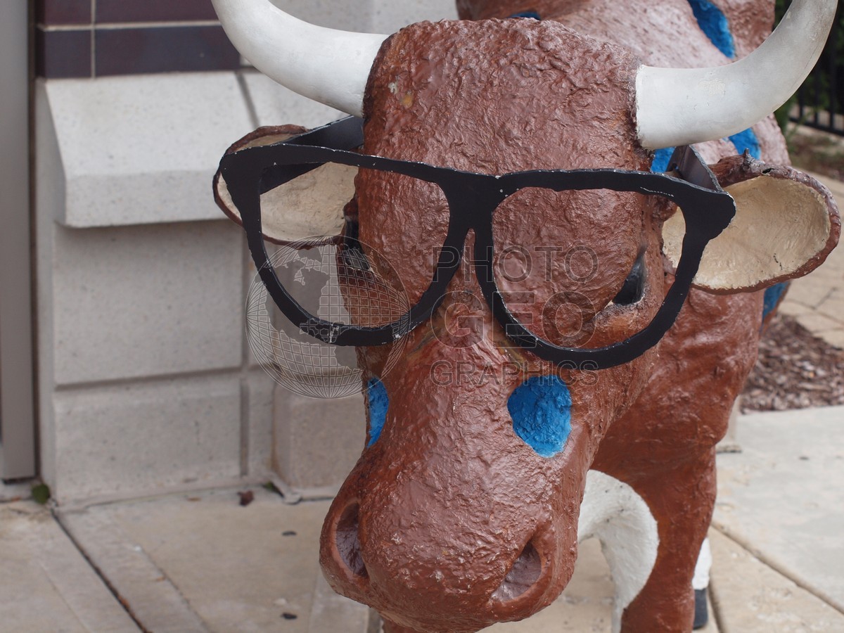 6591 Harry Caray Cow, Lombard, IL