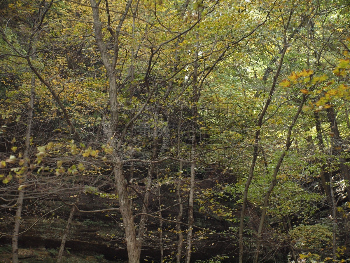 6598 Fall Foilage, Starved Rock State Park, Oglesby, IL