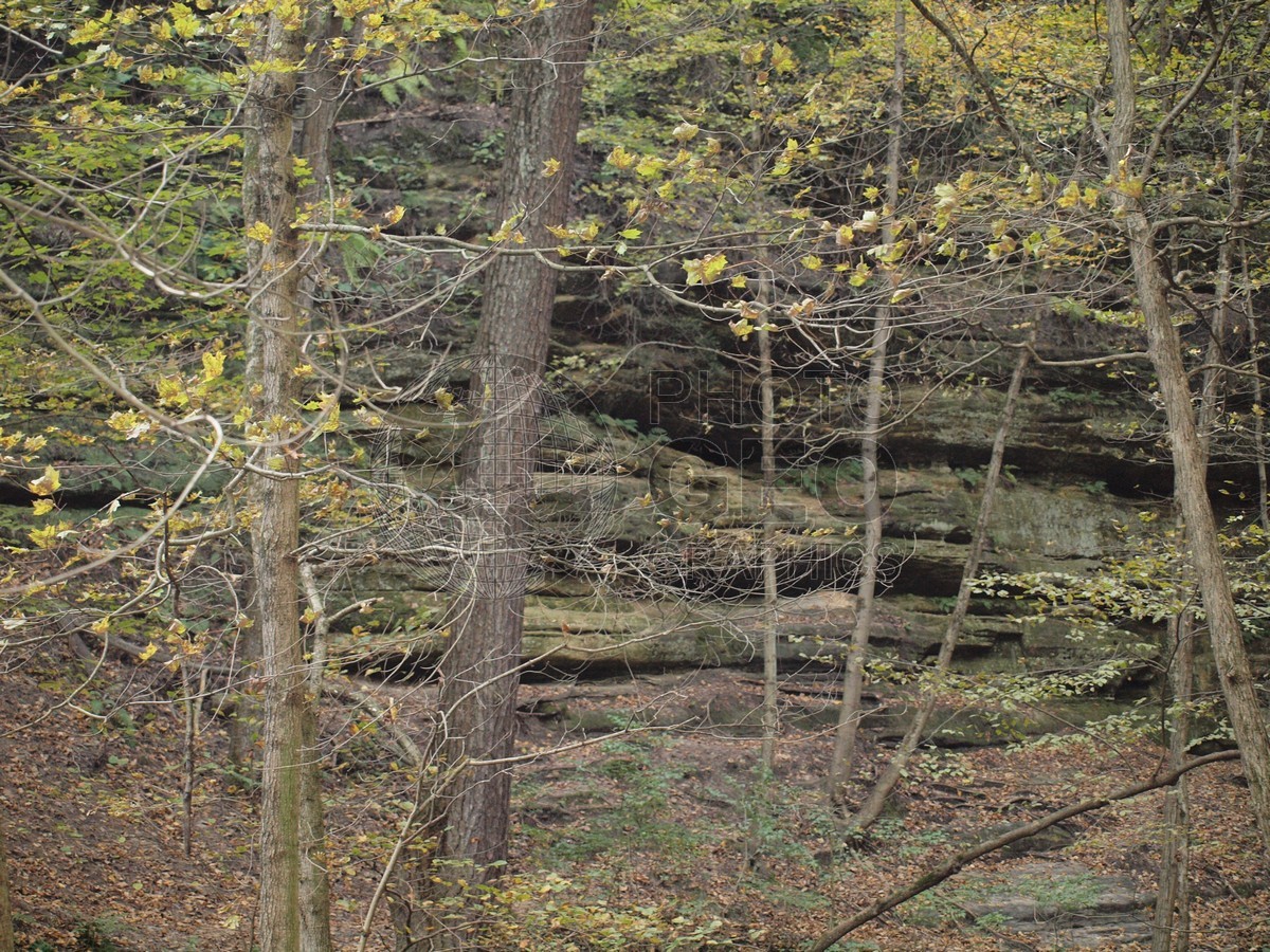 6599 Fall Foilage, Starved Rock State Park, Oglesby, IL