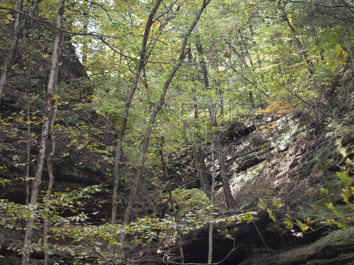6600 Fall Foilage, Starved Rock State Park, Oglesby, IL