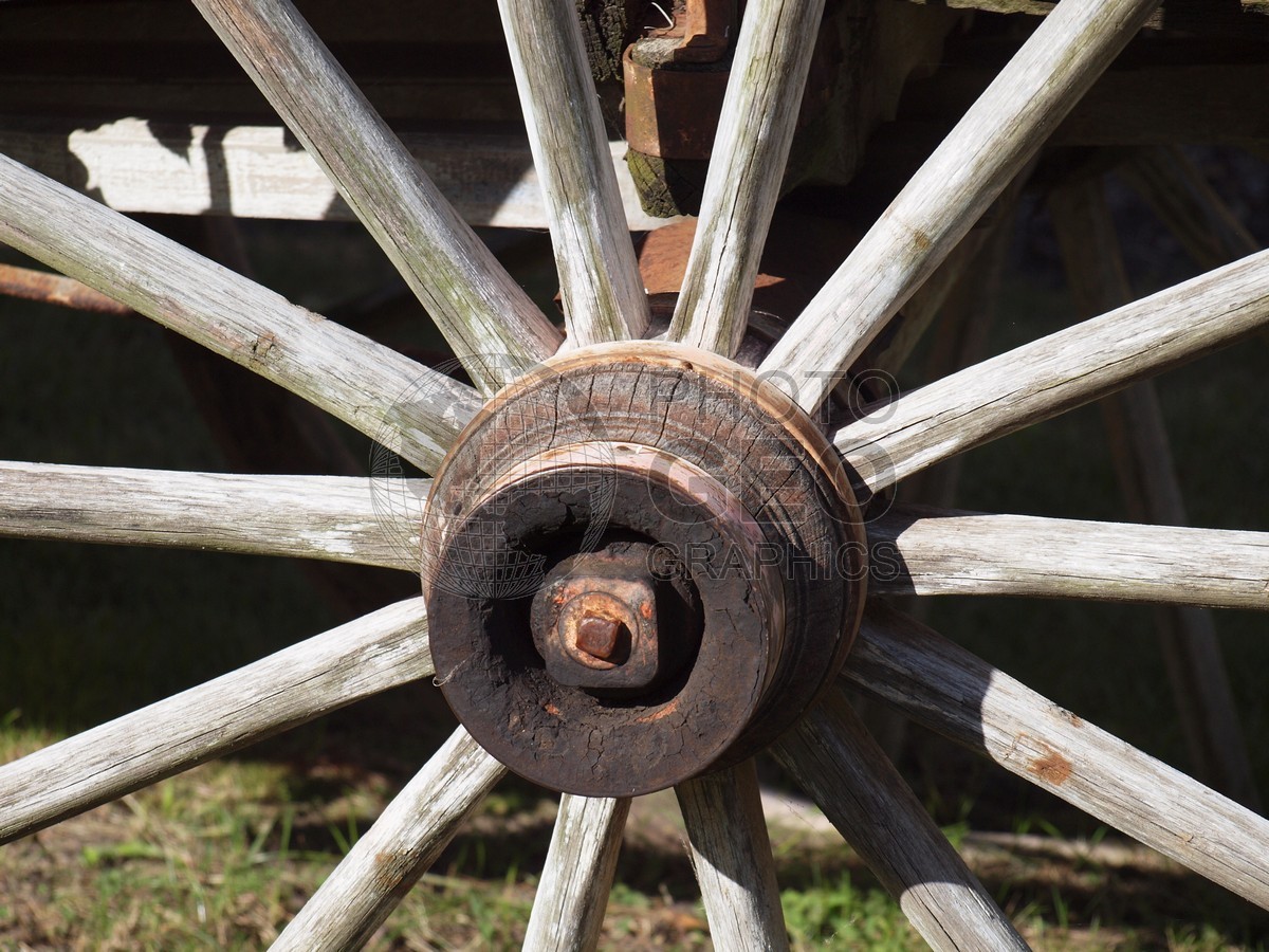 6604 Wagon Wheel Close-up, Starved Rock State Park, Oglesby, IL