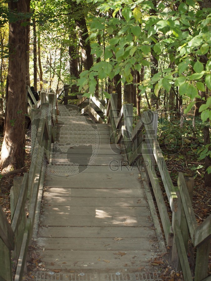 6611 Wood Stairs, Starved Rock State Park, Oglesby, IL