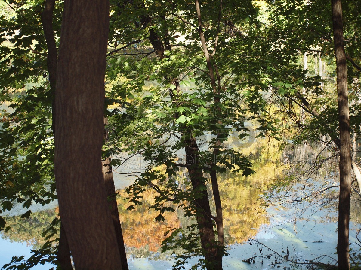 6615 Reflecting Fall Colors, Mattheissen State Park, Oglesby, IL