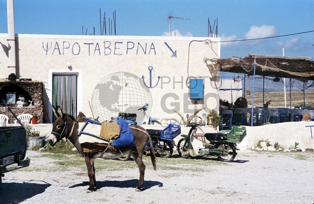 0009 Man with Donkey, Santorini, Greece