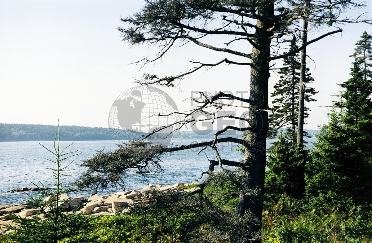0036 Coastline, ME