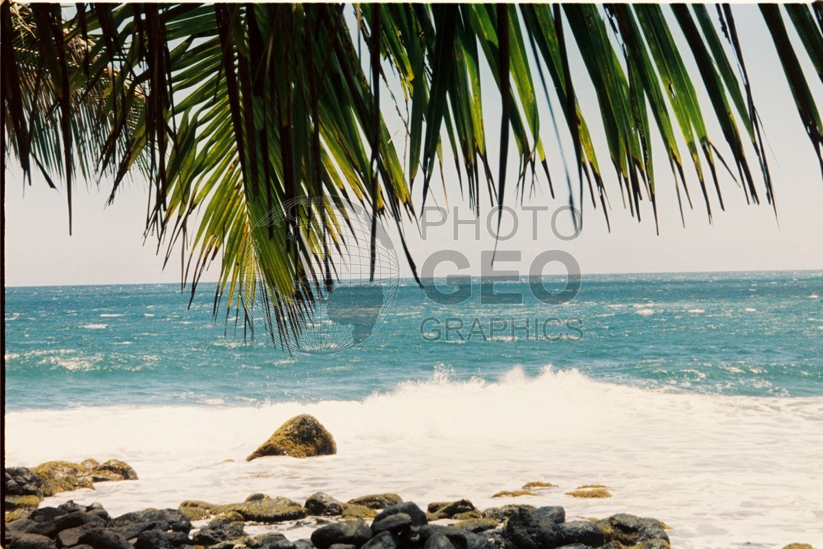 0113 Beach, Moorea, French Polynesia