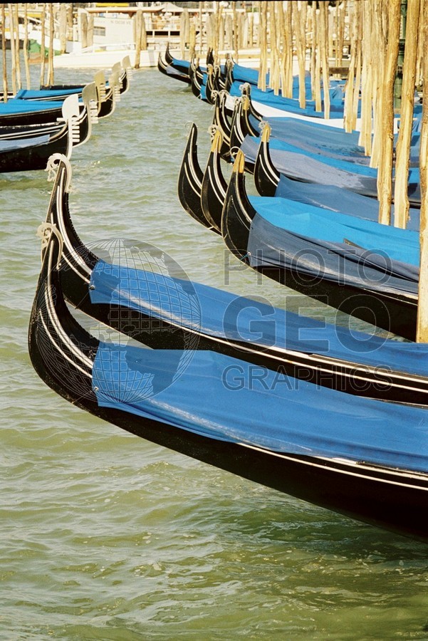 0182 Ready to Row, Venice, Italy