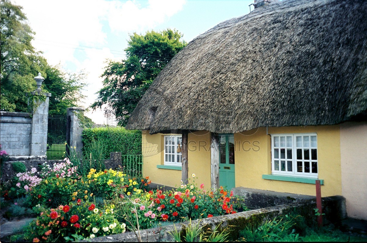 0206 Gold Thatch Roof Cottage, Ireland