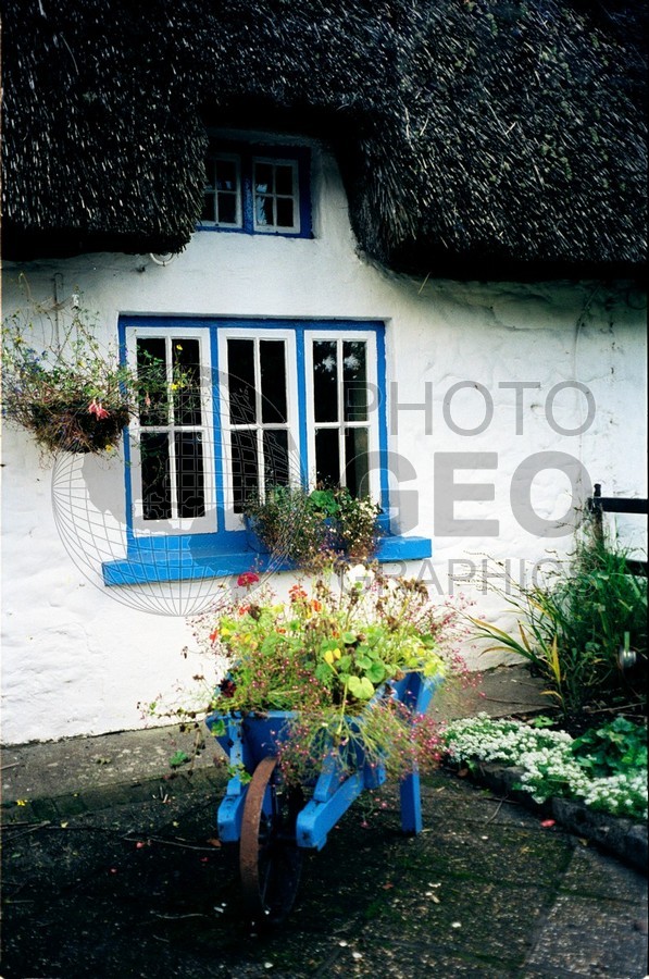 0207 Blue Flower Wagon, Ireland