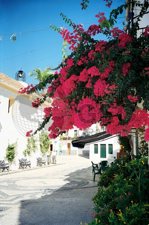 0212 Door with Red Bougainvilleas, Spain